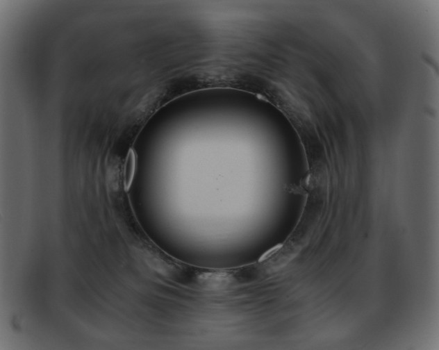 X0000093370133200710111443