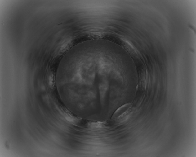 X0000093370134200710111443