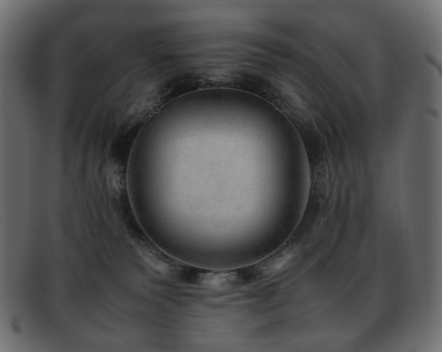 X0000093370135200710111443