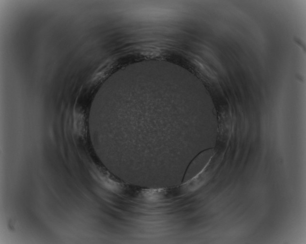 X0000093370136200710111443