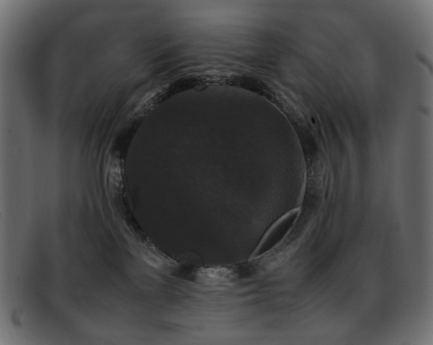 X0000093370137200710111443