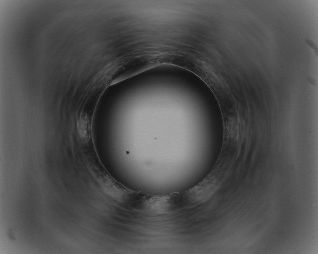 X0000093370138200710111443