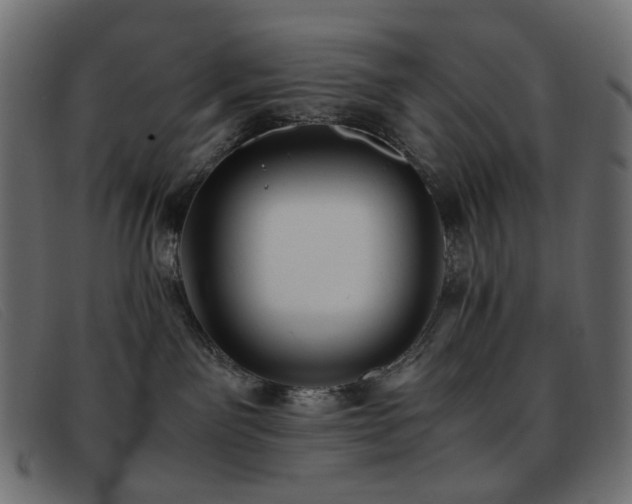 X0000093370141200710111443