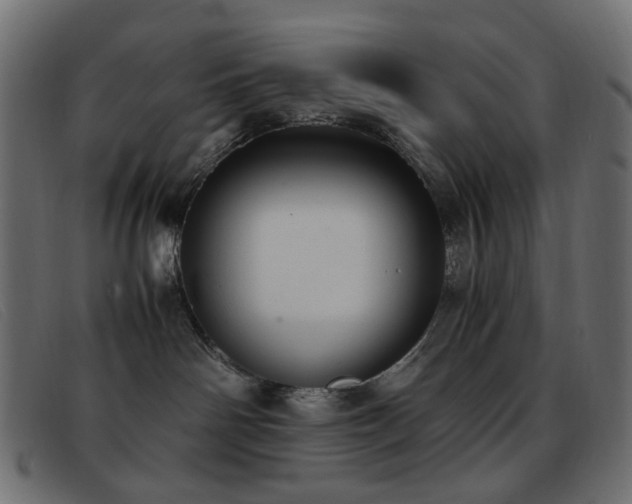 X0000093370142200710111443