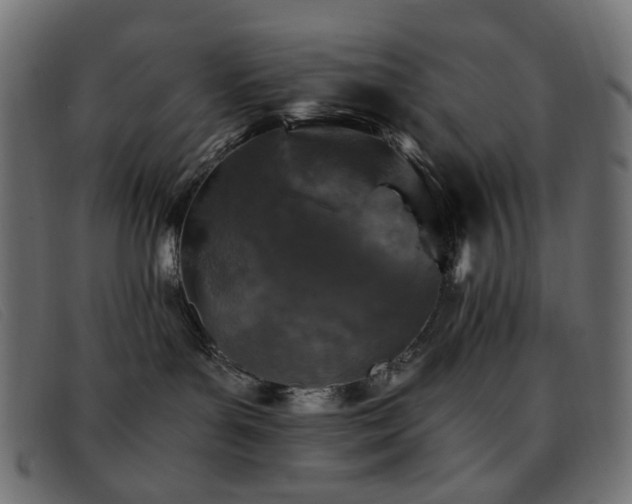 X0000093370143200710111443