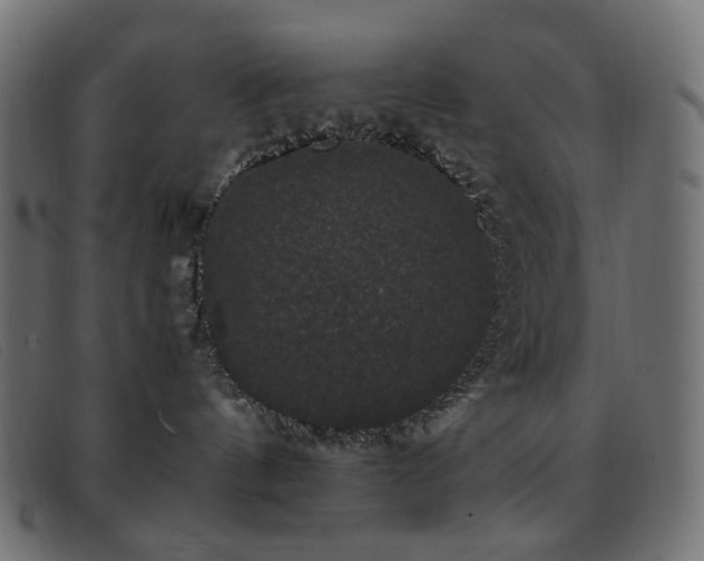 X0000093370144200710111443