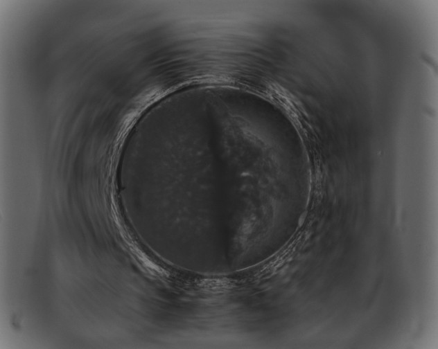 X0000093370145200710111443