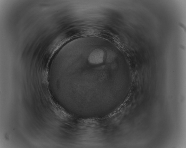 X0000093370146200710111443