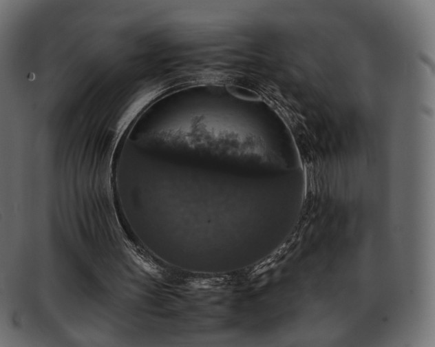 X0000093370147200710111443