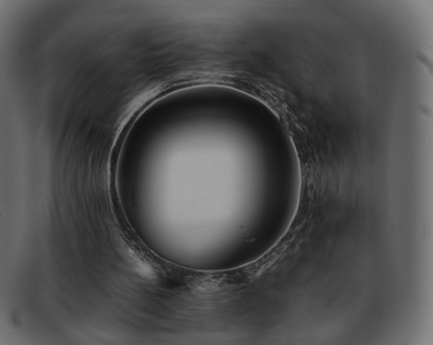 X0000093370148200710111443