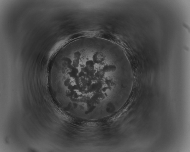 X0000093370149200710111443