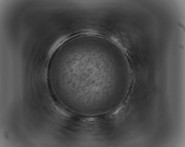 X0000093370151200710111443