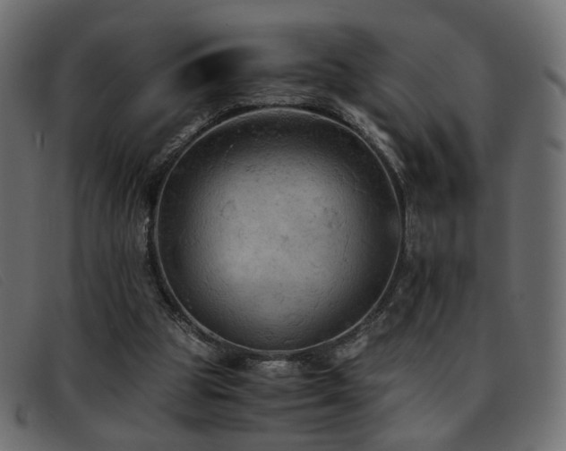 X0000093370153200710111443