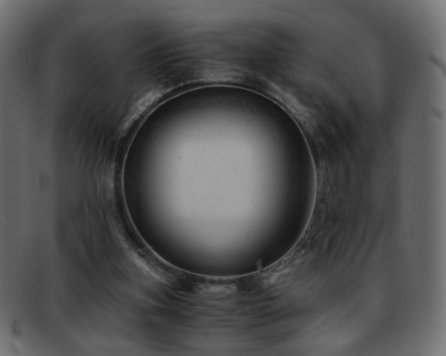 X0000093370155200710111443