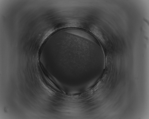 X0000093370156200710111443