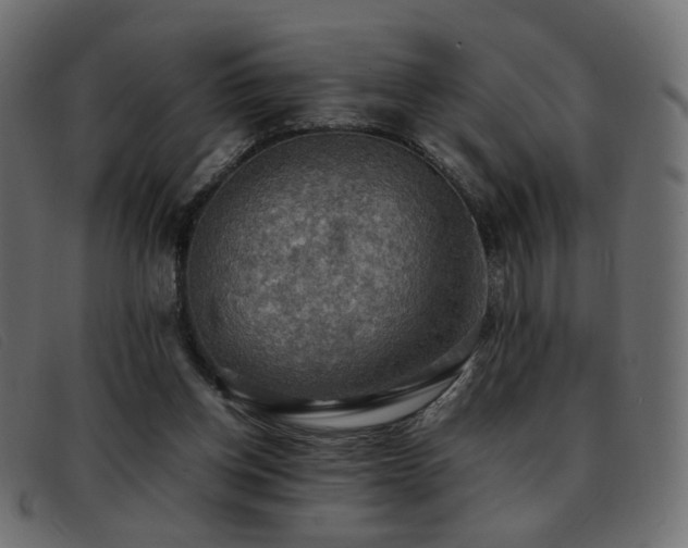 X0000093370158200710111443