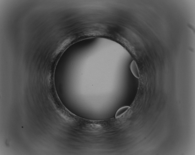 X0000093370159200710111443