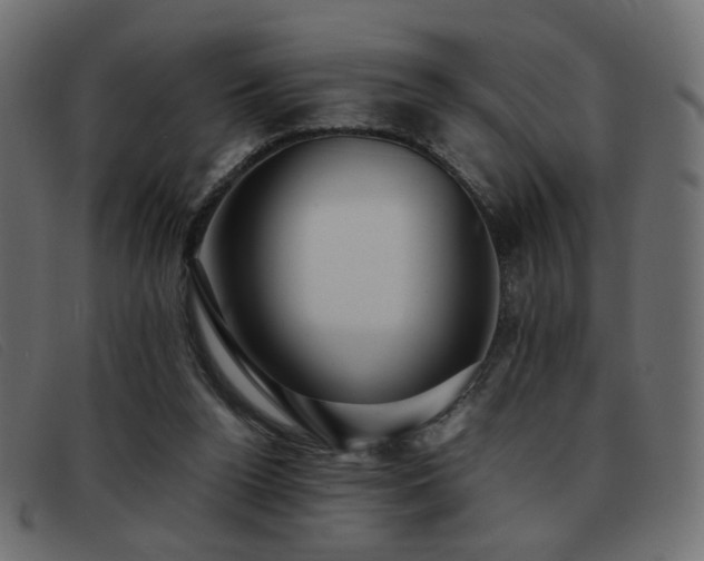 X0000093370160200710111443