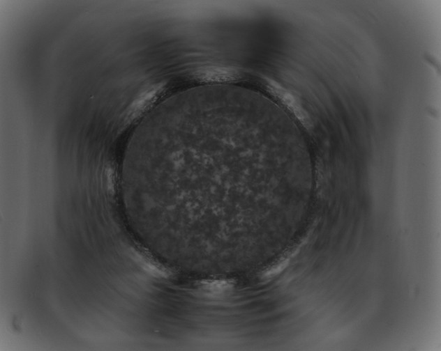 X0000093370161200710111443