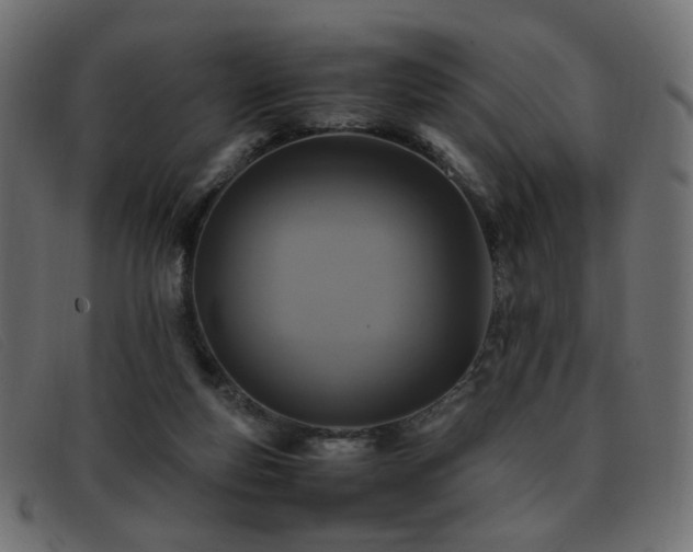 X0000093370163200710111443