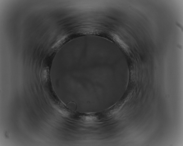 X0000093370165200710111443