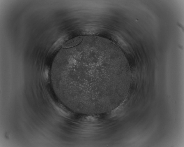 X0000093370166200710111443