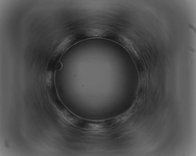 X0000093370167200710111443