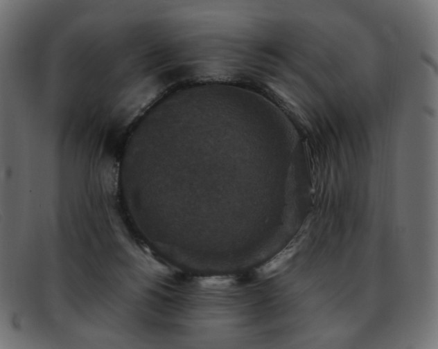 X0000093370168200710111443