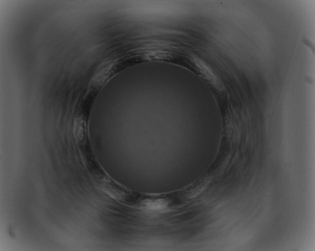 X0000093370169200710111443