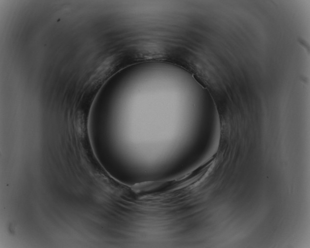 X0000093370170200710111443