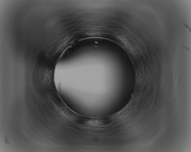 X0000093370171200710111443