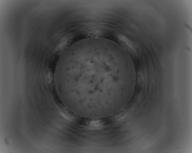 X0000093370173200710111443