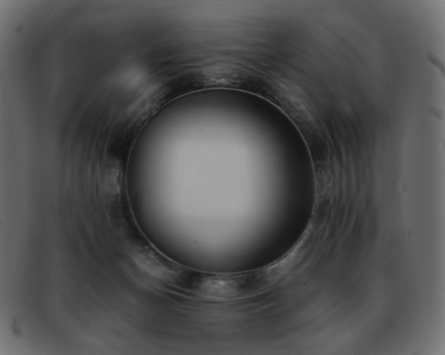 X0000093370174200710111443