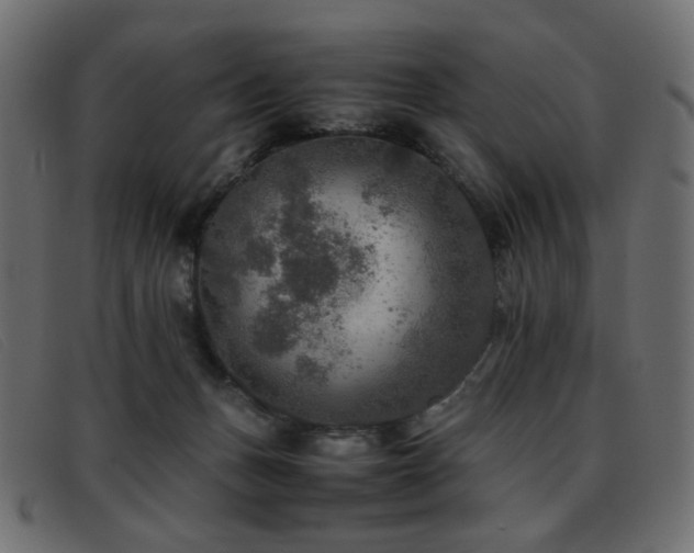 X0000093370175200710111443