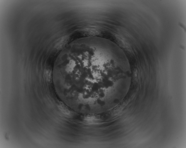 X0000093370177200710111443