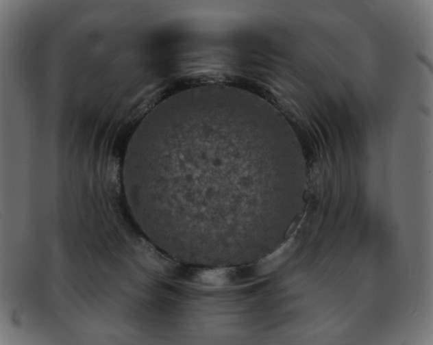 X0000093370178200710111443