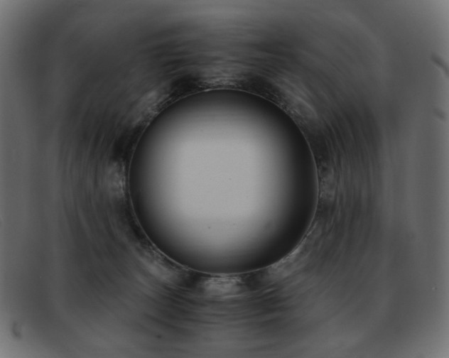 X0000093370179200710111443