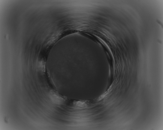 X0000093370180200710111443