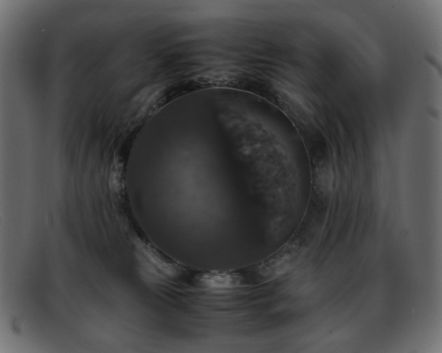 X0000093370181200710111443