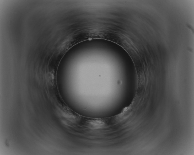 X0000093370183200710111443