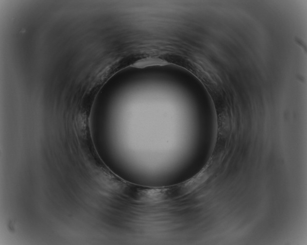 X0000093370184200710111443