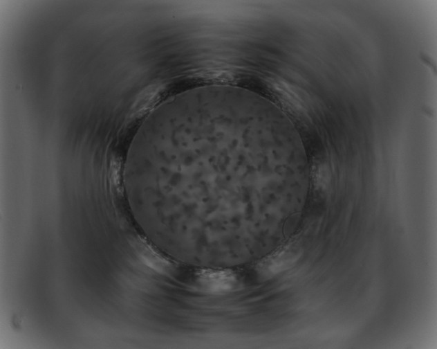 X0000093370185200710111443