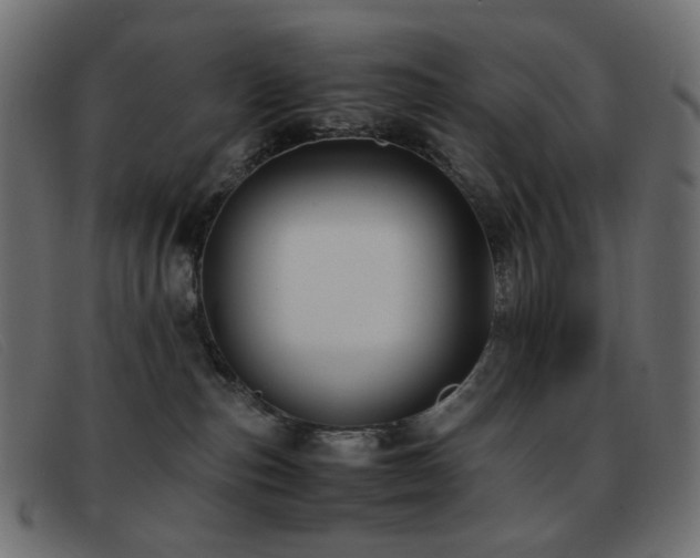 X0000093370187200710111443