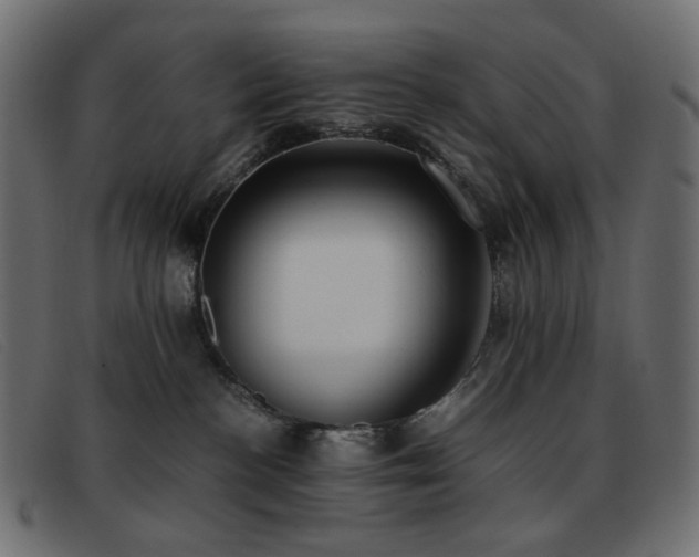 X0000093370188200710111443