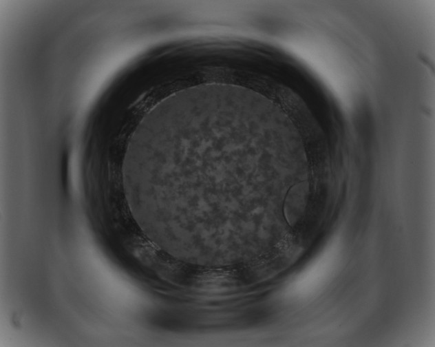 X0000093370189200710111443