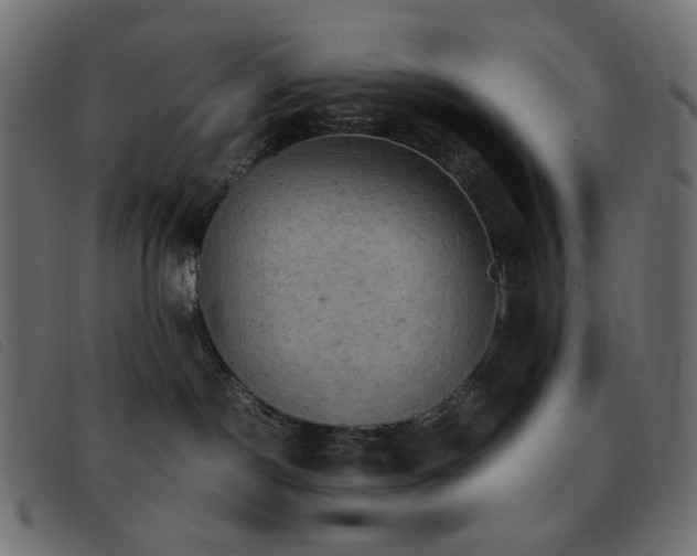 X0000093370190200710111443