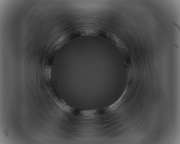 X0000093370191200710111443