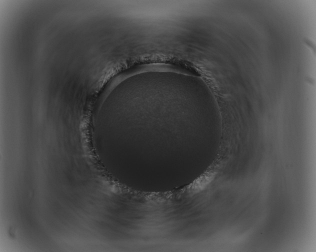 X0000093370192200710111443