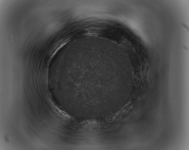 X0000093370194200710111442