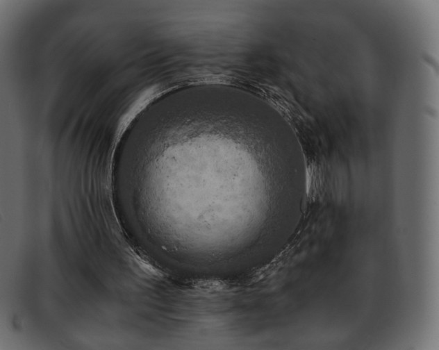 X0000093370195200710111442